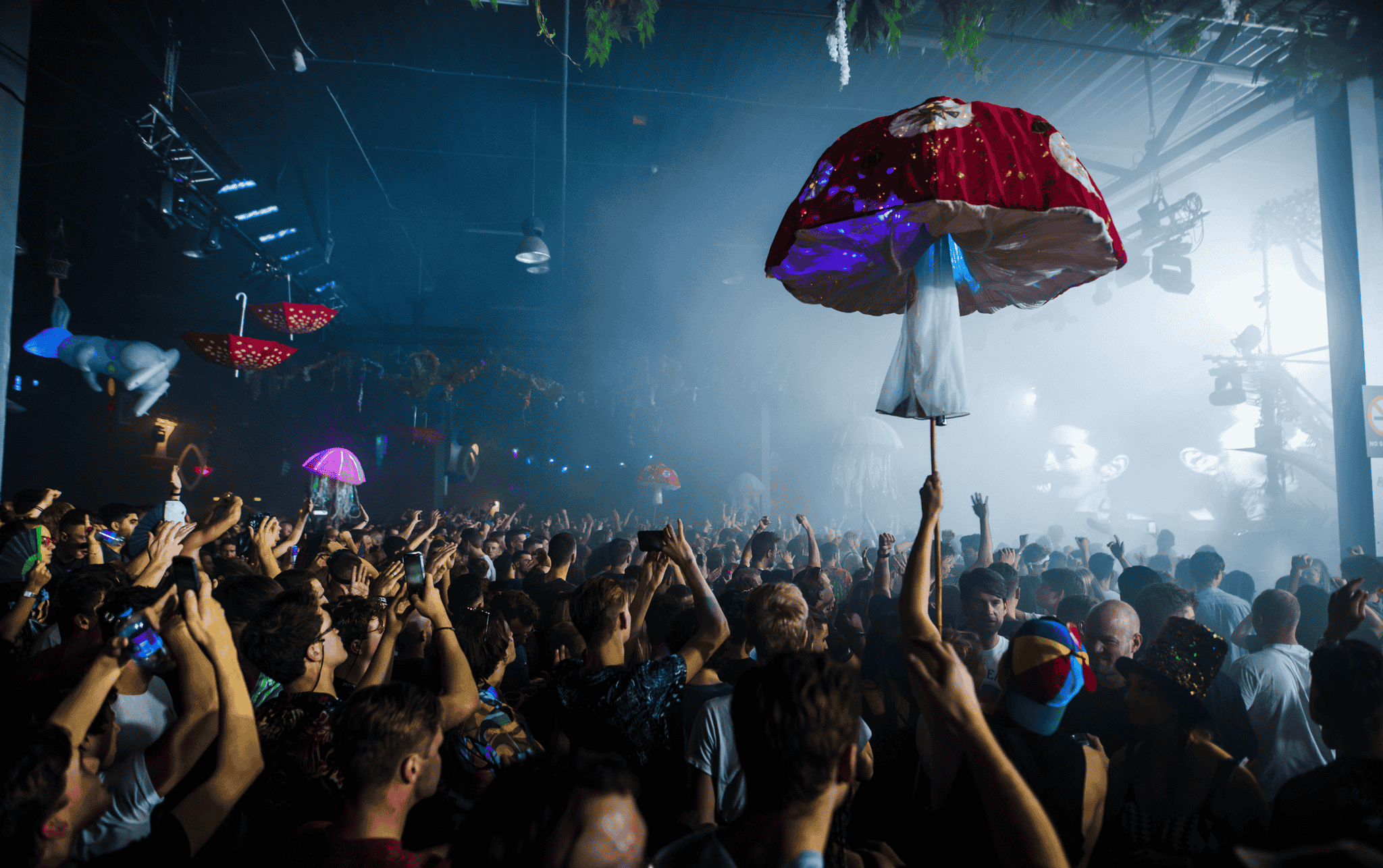 "Festival at Taets Art and Event Park near Amsterdam and Zaandam, with outdoor stages, live performances, and vibrant crowds."