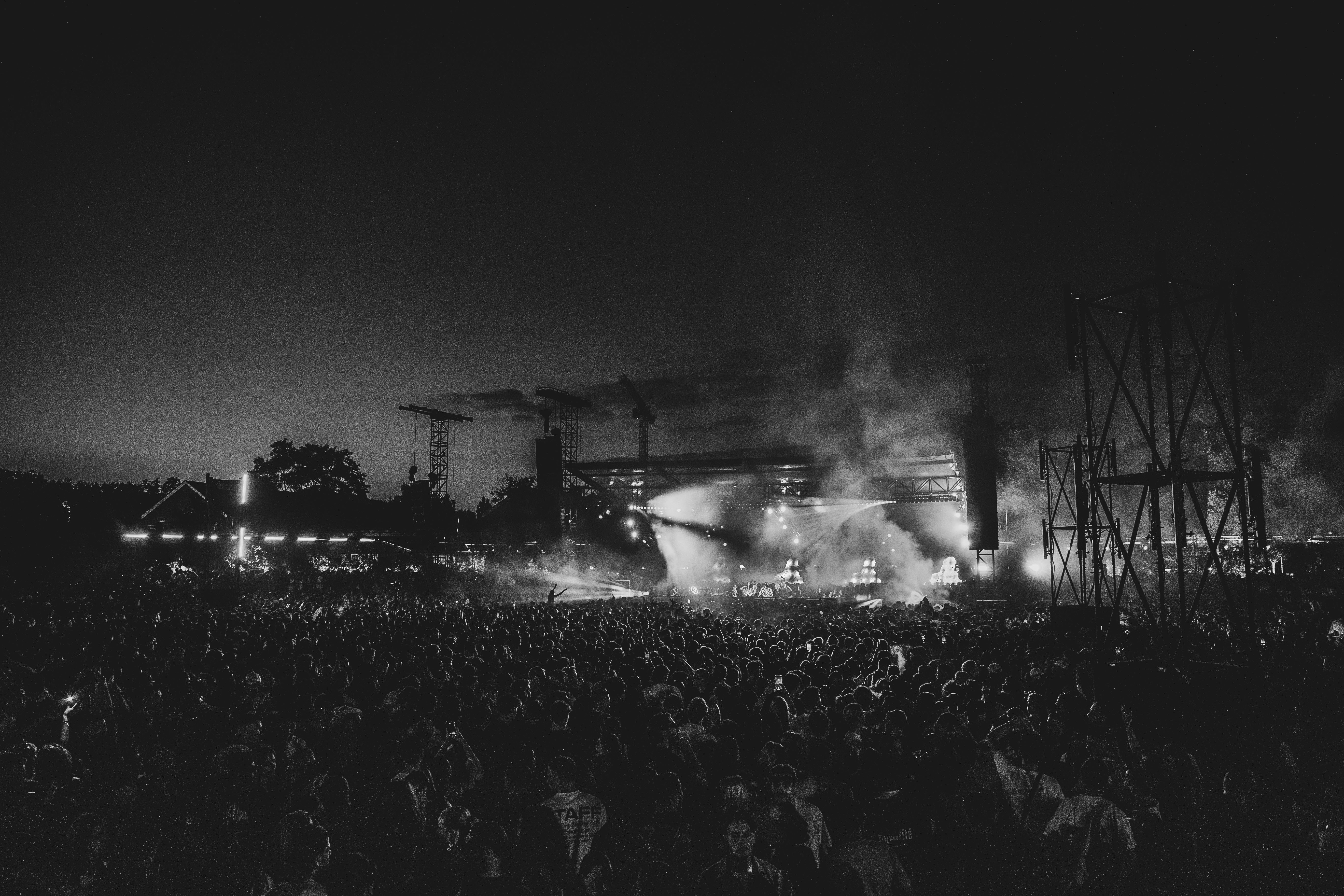 PAWSA In The Park  In The Park 