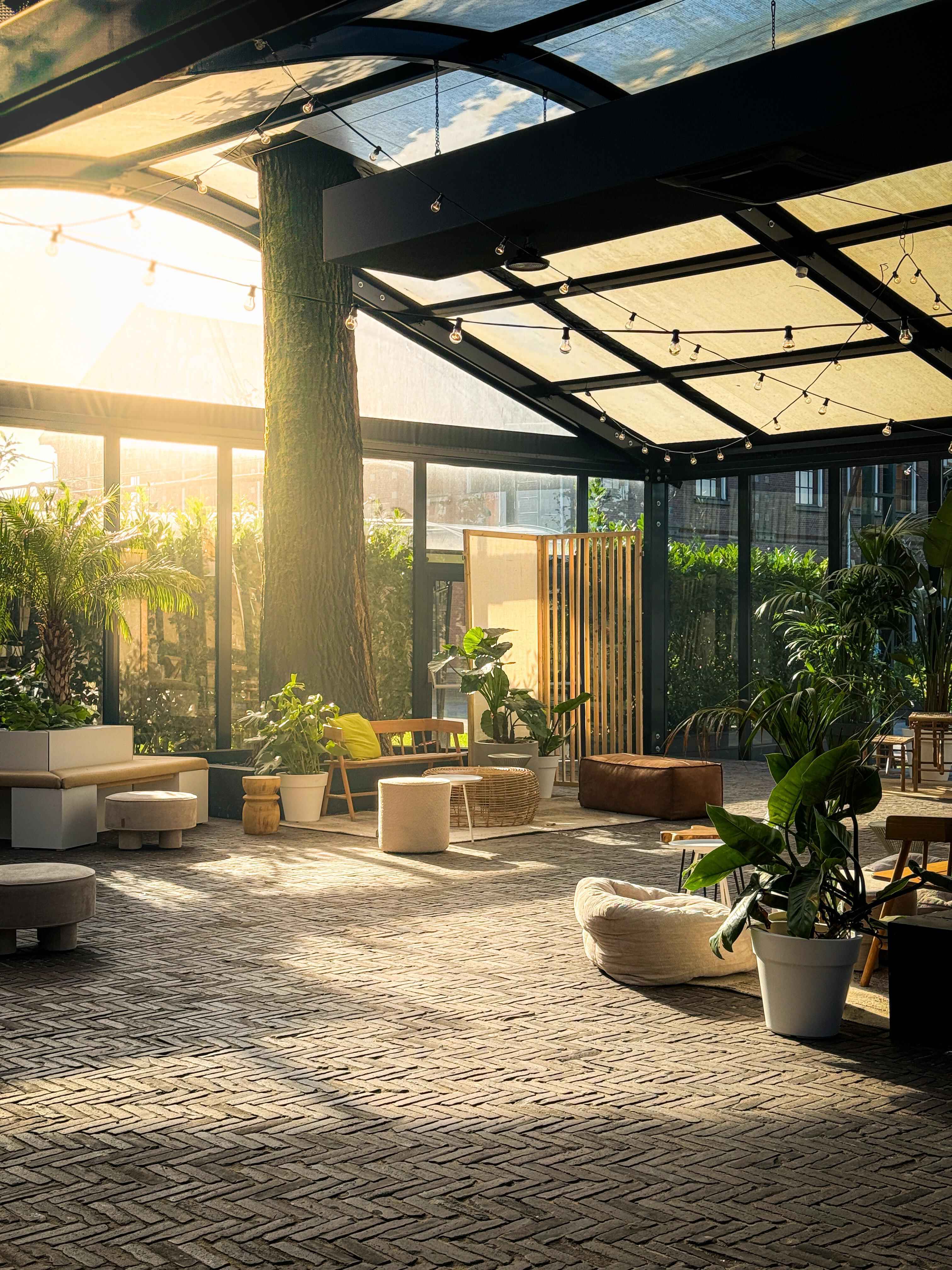 The Glass Pavillion -2024 - lounge sun