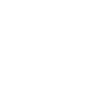 Ws